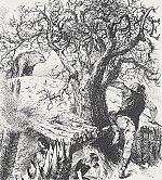 Hier klicken zum vergrößern