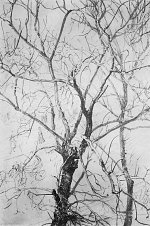 Hier klicken zum vergrößern