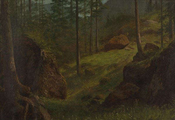 Bewaldeter Berg