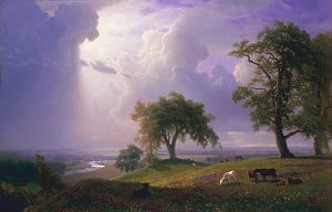 California Spring  Kunstdruck