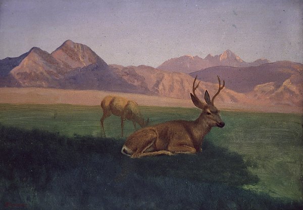 Der Hirsch