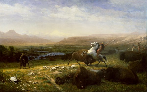 Der letzte der Büffel