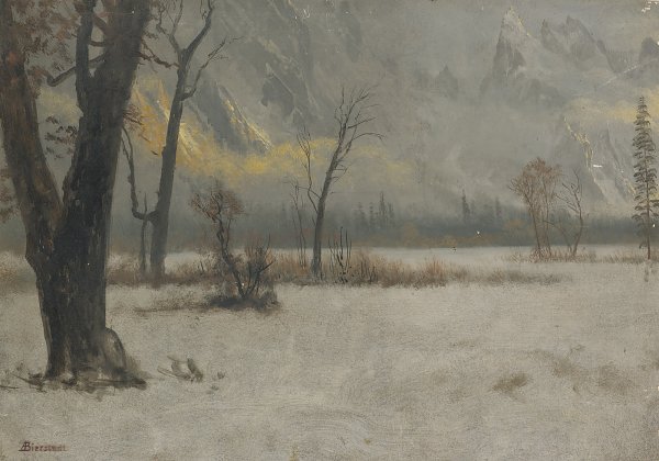 Winterlandschaft
