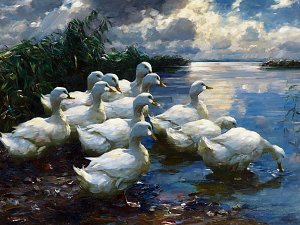 Enten am Ufer Kunstdruck