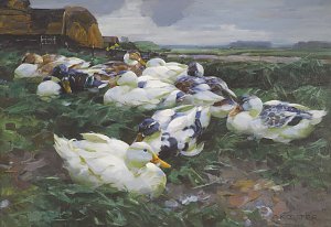 Enten auf dem Feld Kunstdruck