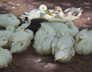 Ruhende Enten Kunstdruck