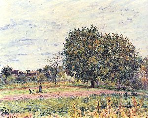 Nussbaeume bei untergehender Sonne Anfang Oktober Kunstdruck
