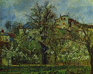 Obstgarten mit bluehenden Baeumen Kunstdruck