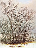 Hier klicken zum vergrößern