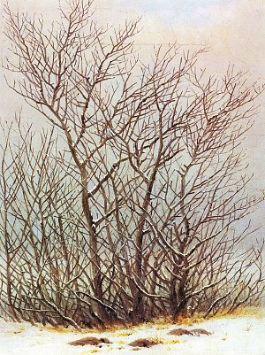 Baeume und Straeucher im Schnee Kunstdruck