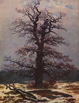 Eiche im Schnee Kunstdruck