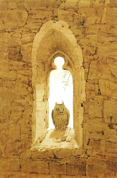 Eule in gotischem Fenster