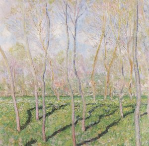Baeume im Winter Blick auf Bennecourt Kunstdruck