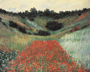 Mohnblumenfeld bei Civerny Kunstdruck
