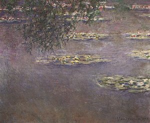 Seerosen Wasserlandschaft Kunstdruck
