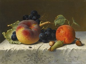 Stillleben mit Pfirsich Aprikose Weintrauben und Haselnüsse auf einem Tisch Kunstdruck