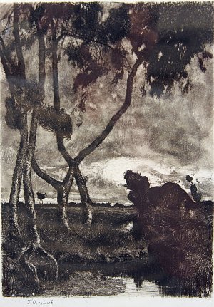 Sturm im Moor Kunstdruck