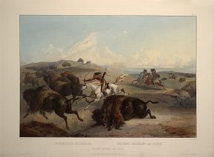 Indianer jagen Bison Kunstdruck