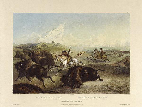 Indianer jagen ein Bison