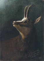 Hier klicken zum vergrößern