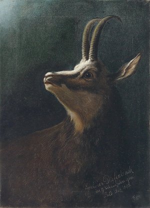 Kopf einer Gemse Kunstdruck