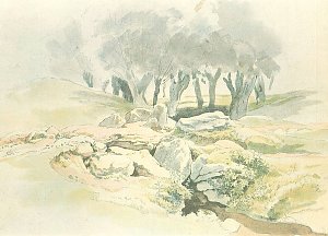 Weiden am Bach Kunstdruck