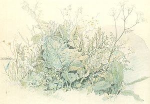 Wiesenkraeuter Kunstdruck