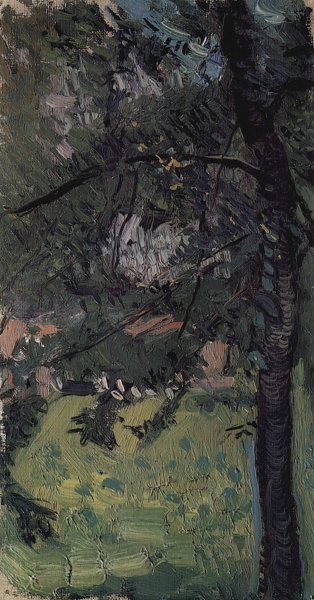 Wiese mit Häusern im Hintergrund