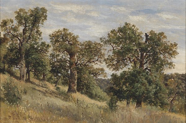 Berghang mit Baum