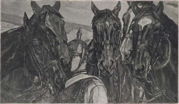 Kavalleriepferde