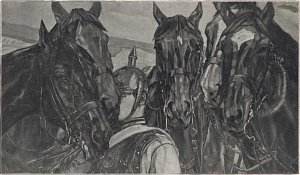 Kavalleriepferde Kunstdruck