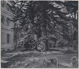 Schloß Hemsbach mit Kanonen Kunstdruck