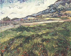 Gruenes Weizenfeld Kunstdruck