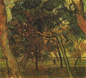 Herbstliche Kiefern Kunstdruck