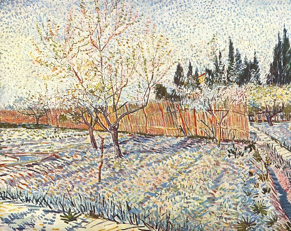 Obstgarten mit Zypressen