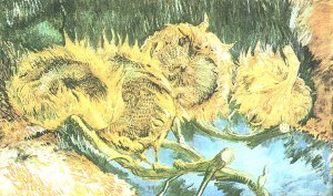 Vier verbluehte Sonnenblumen Kunstdruck