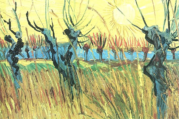 Weiden bei Sonnenuntergang