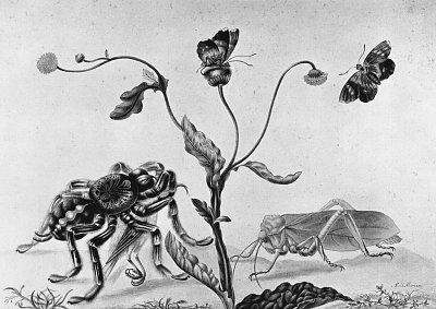 Skizzenblatt 8 von Adolf Menzel/Zeichnungen als Kunstdruck auf Leinwand