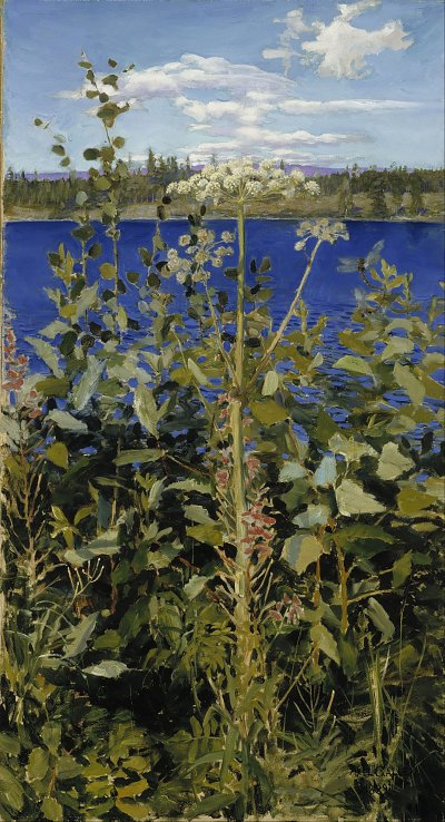 Wilde Angelica von Akseli Gallen Kallela als Kunstdruck auf Leinwand