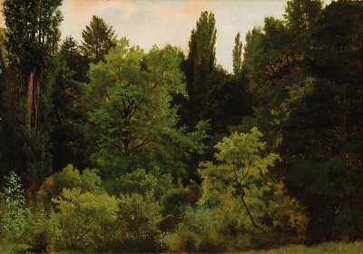 Deep in the Rockies von Albert-Bierstadt als Kunstdruck auf Leinwand