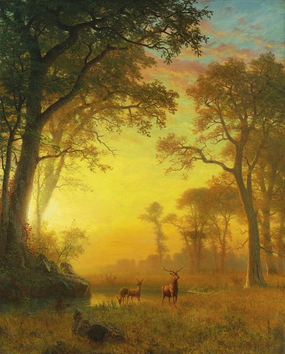 Licht im Wald von Albert-Bierstadt als Kunstdruck auf Leinwand