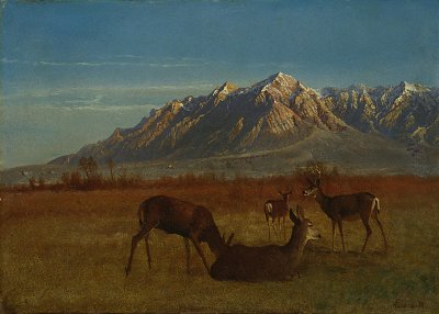 Rehe im Gebirge von Albert Bierstadt als Kunstdruck auf Leinwand