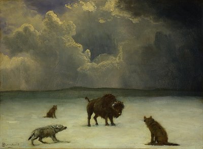 Trapped von Albert Bierstadt als Kunstdruck auf Leinwand