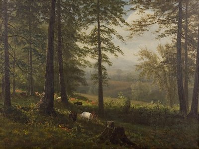 View to a Clearing von Albert Bierstadt als Kunstdruck auf Leinwand