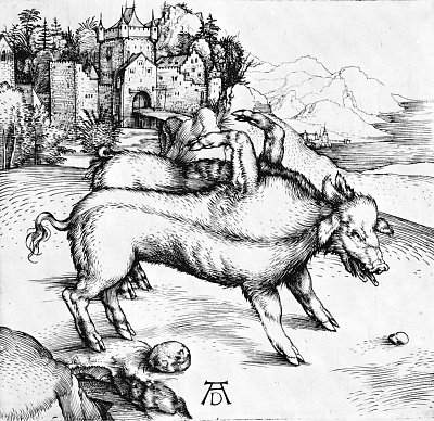 Die missgebildete Sau von Albrecht Dürer/Illustrationen als Kunstdruck auf Leinwand