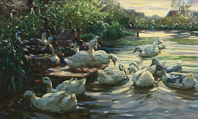 Enten am Steg von Alexander-Koester als Kunstdruck auf Leinwand