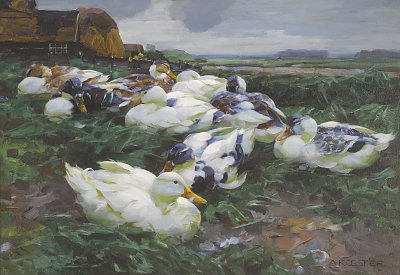 Enten auf dem Feld von Alexander-Koester als Kunstdruck auf Leinwand