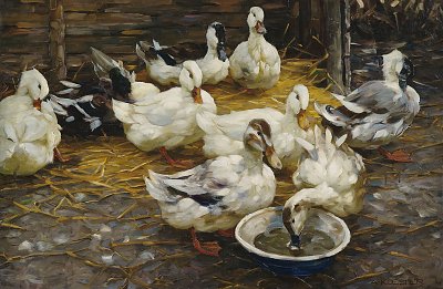 Enten im Stroh von Alexander-Koester als Kunstdruck auf Leinwand