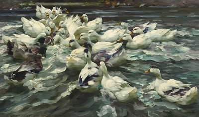 Enten im Teich Wilde Jagd von Alexander-Koester als Kunstdruck auf Leinwand