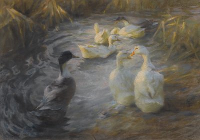 Enten zwischen Schilf im Teich von Alexander-Koester als Kunstdruck auf Leinwand